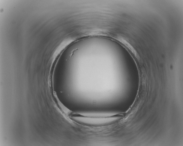 X0000071861285200607141806