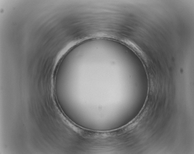 X0000071861286200607141806