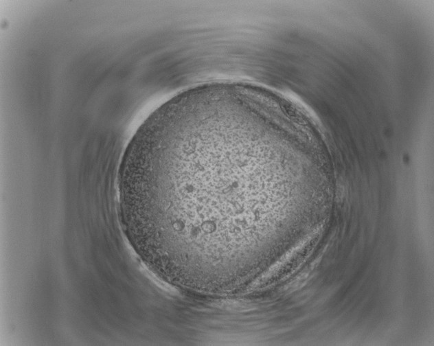 X0000071861287200607141806