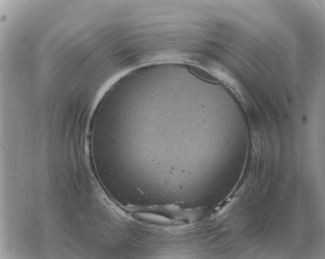 X0000071861288200607141806