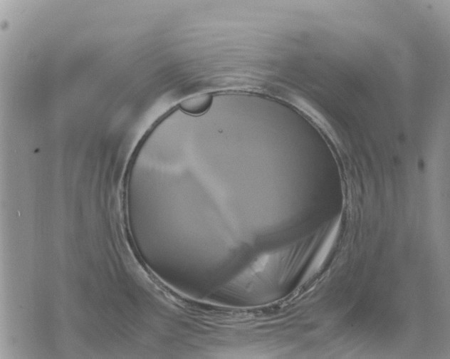 X0000071861291200607141806