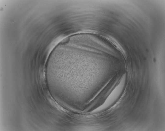 X0000071861292200607141806