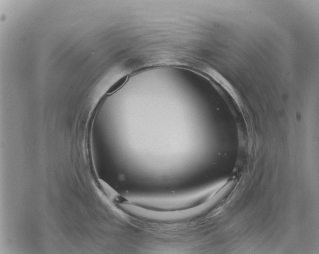 X0000071861293200607141806