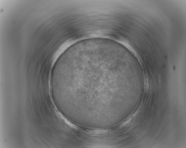 X0000071861294200607141806