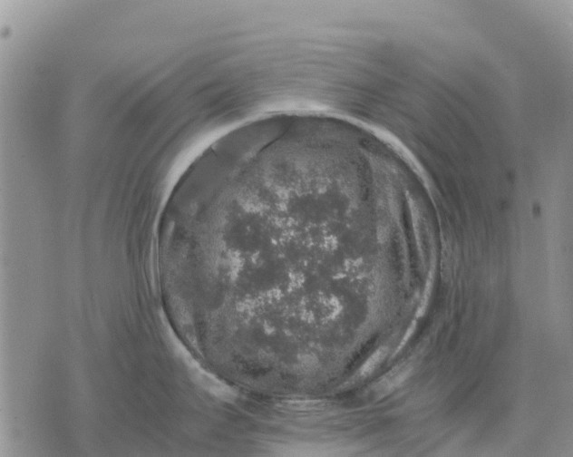 X0000071861295200607141806