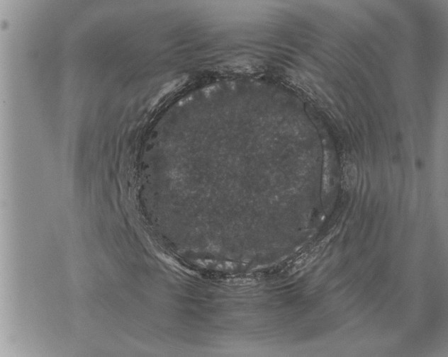 X0000071861297200607141805