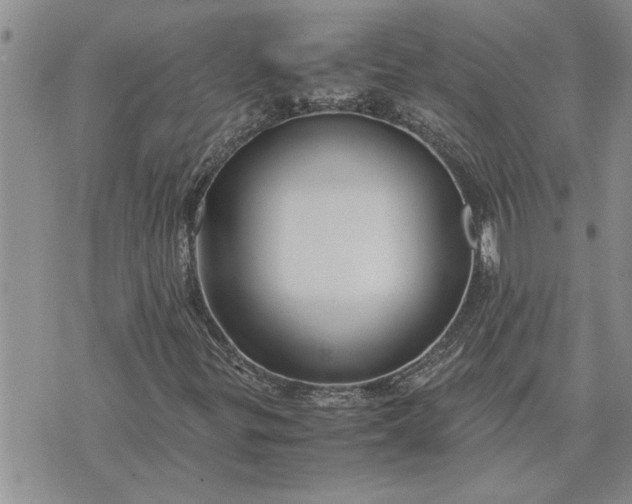 X0000071861299200607141805