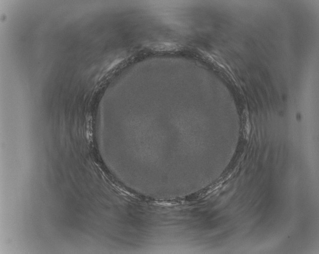 X0000071861301200607141805