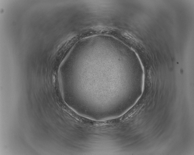 X0000071861302200607141805