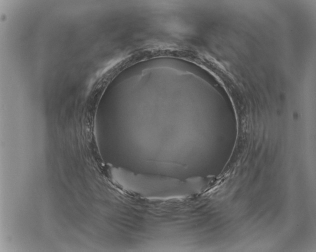 X0000071861303200607141805