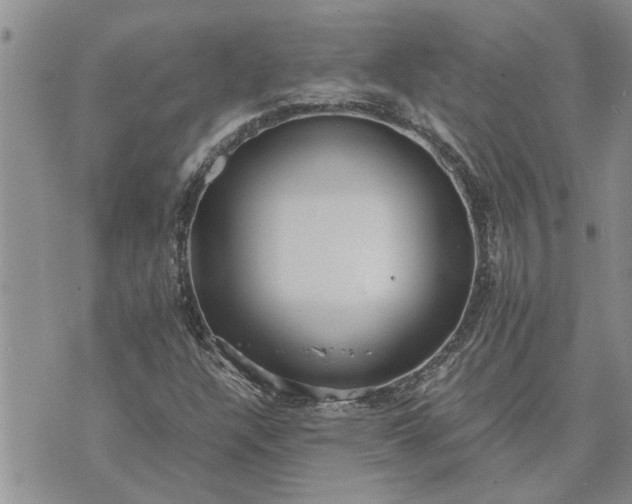 X0000071861304200607141805