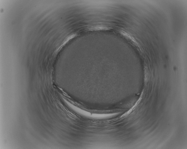 X0000071861305200607141805