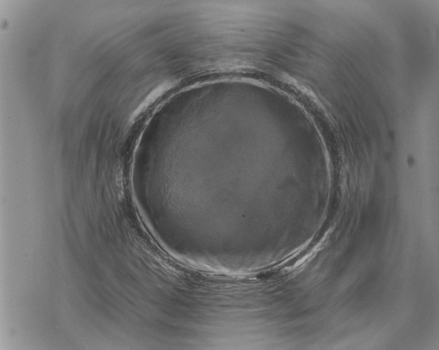 X0000071861306200607141805