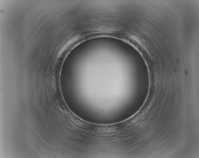 X0000071861307200607141805