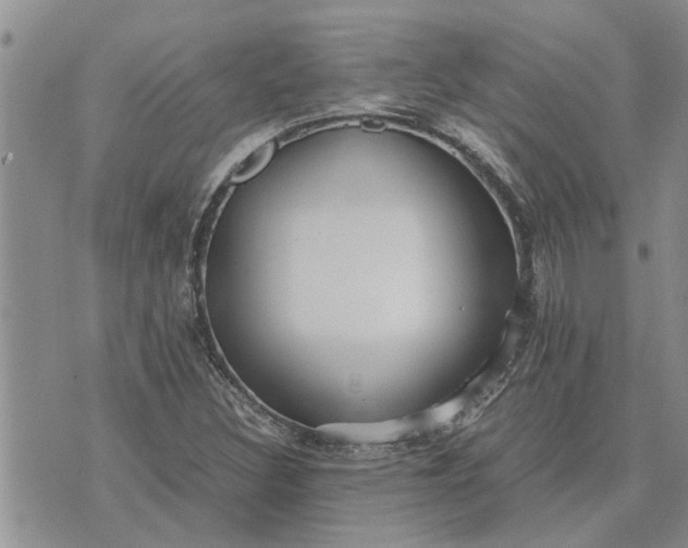 X0000071861308200607141805