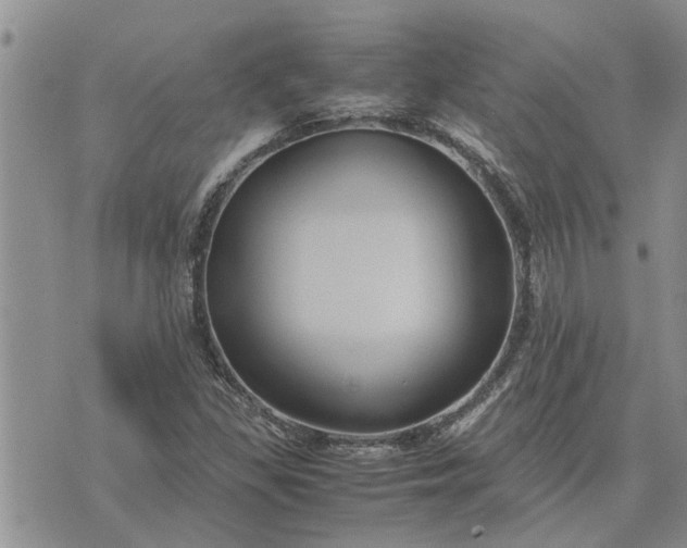 X0000071861309200607141805