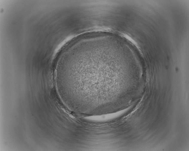 X0000071861310200607141805