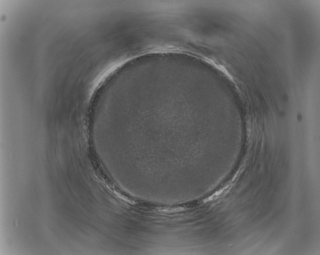 X0000071861311200607141805