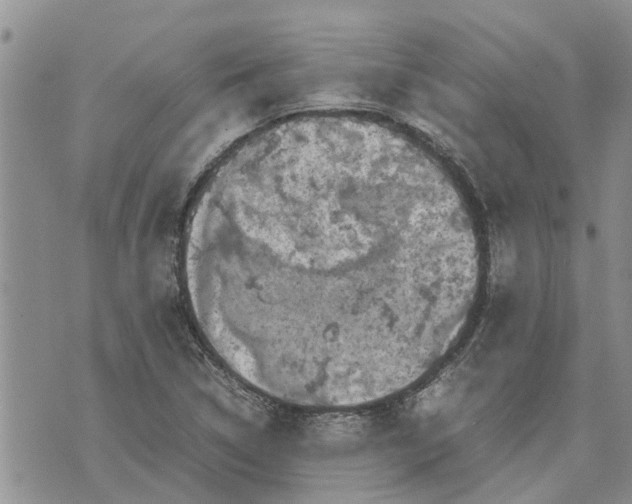 X0000071861314200607141805