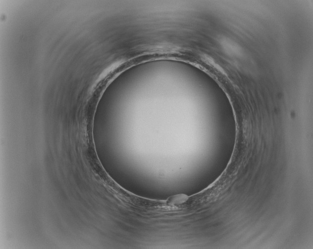 X0000071861315200607141805