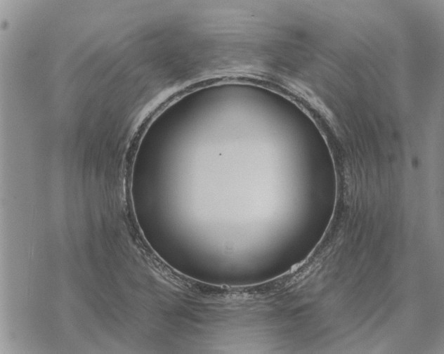 X0000071861316200607141805