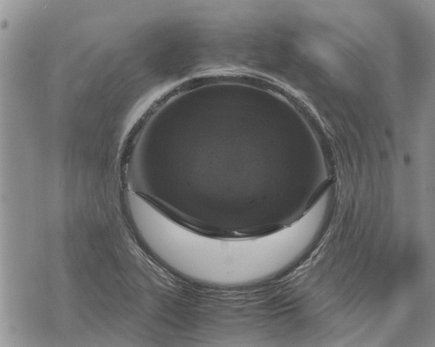 X0000071861319200607141805