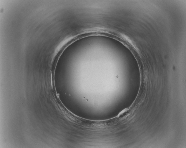 X0000071861320200607141805