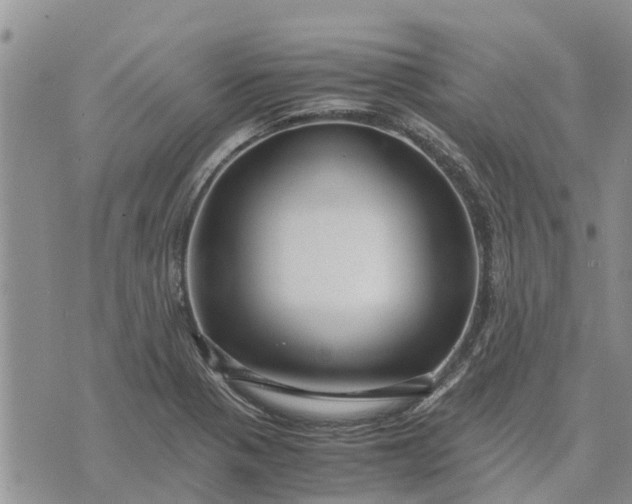 X0000071861321200607141805