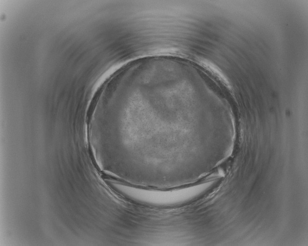 X0000071861324200607141805