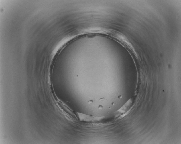 X0000071861328200607141805