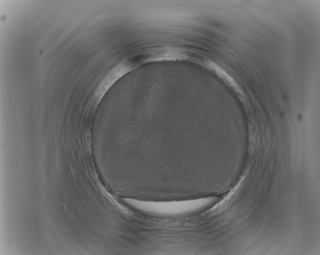 X0000071861329200607141805