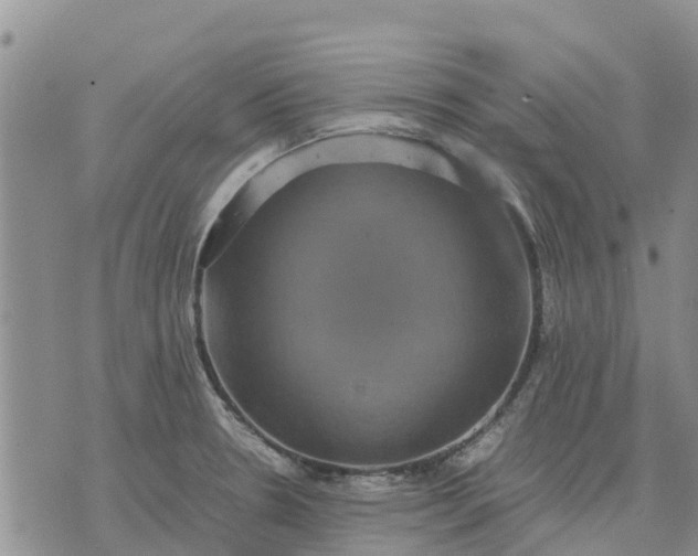 X0000071861330200607141805