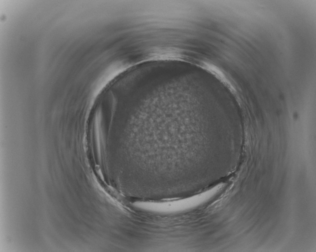 X0000071861331200607141805