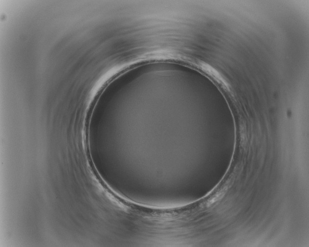 X0000071861334200607141805