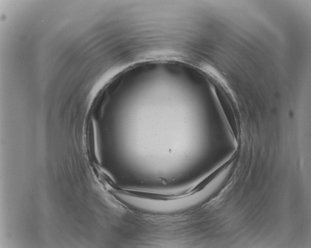 X0000071861336200607141805