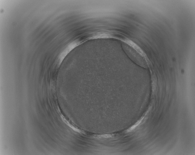 X0000071861337200607141805