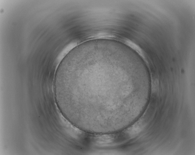 X0000071861338200607141805