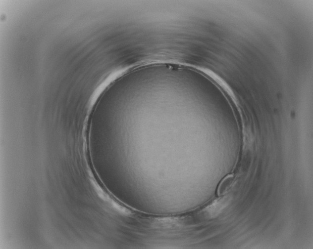 X0000071861341200607141806