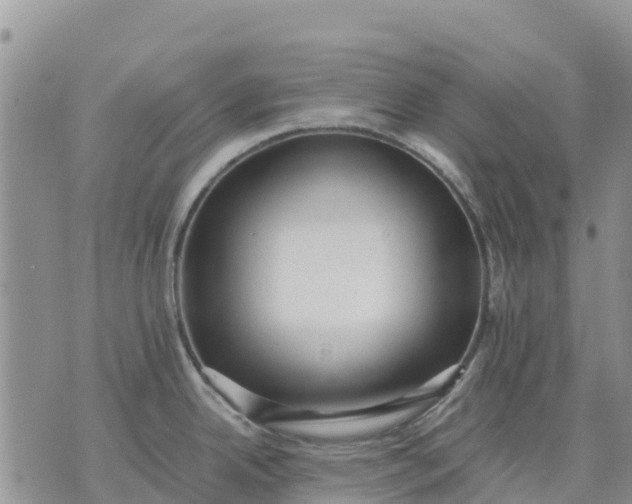 X0000071861342200607141806