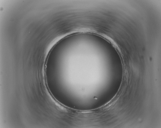 X0000071861343200607141806