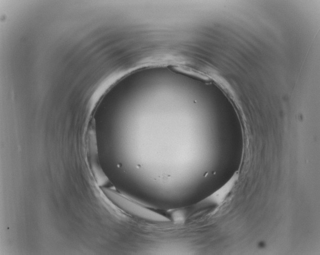 X0000071861344200607141806