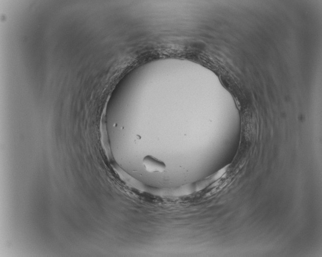 X0000071861345200607141805