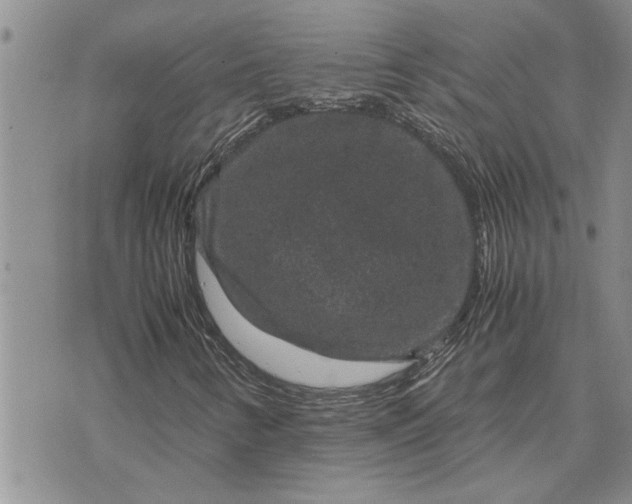 X0000071861346200607141805