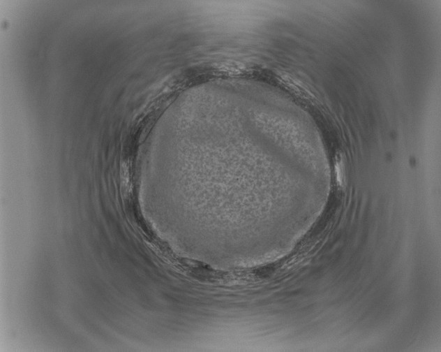 X0000071861347200607141805