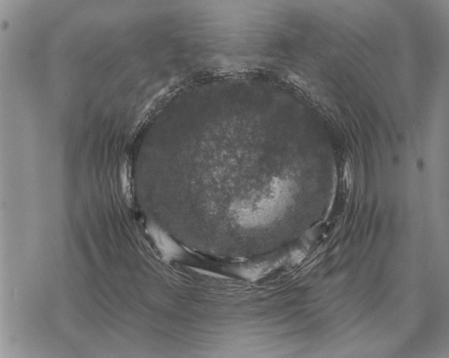 X0000071861348200607141805