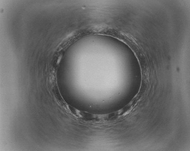 X0000071861349200607141805