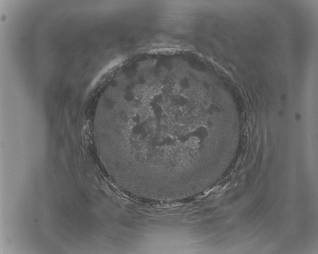 X0000071861351200607141805