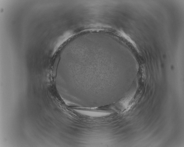 X0000071861352200607141805