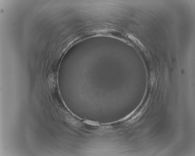 X0000071861353200607141805