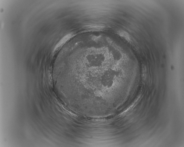 X0000071861354200607141805